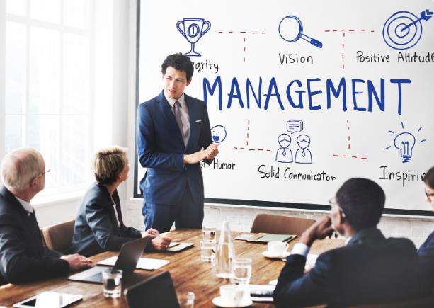 Professional Consulting Meeting