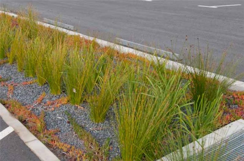 Road Geometric Design